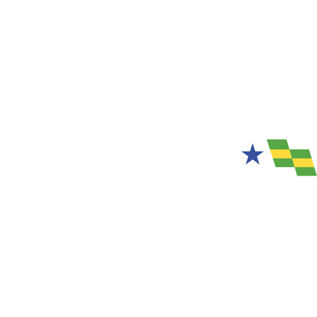 logo oficial ziza carvalho